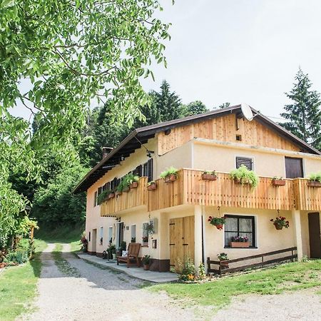 Pocitniska Hisa Pologar Guest House Tolmin Exterior photo
